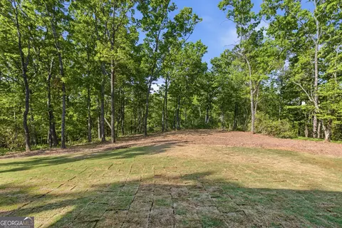 Exterior - 110 Fall Pippin Ct, Clarkesville, GA 30523 photo 14 of 14
