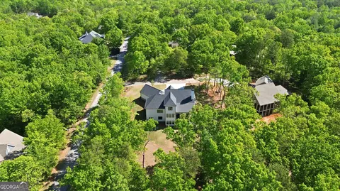 View/Area - 110 Fall Pippin Ct, Clarkesville, GA 30523 photo 2 of 7