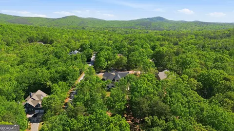 View/Area - 110 Fall Pippin Ct, Clarkesville, GA 30523 photo 1 of 7