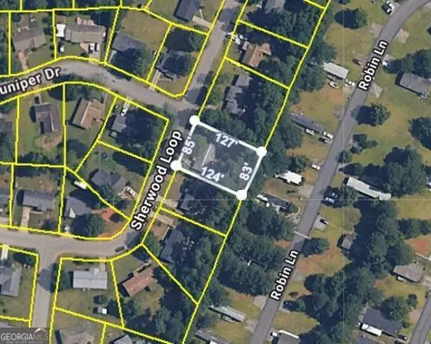 View/Area - 162 Sherwood Loop, Mcdonough, GA 30253 photo 1 of 1