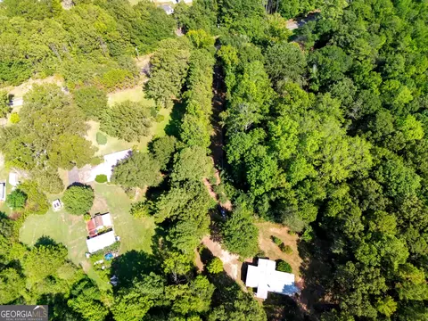 View/Area - 460 Etheridge Mill Rd, Milner, GA 30257 photo 4 of 4