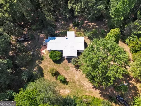 View/Area - 460 Etheridge Mill Rd, Milner, GA 30257 photo 3 of 4