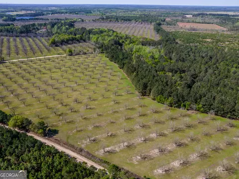 9 64 Acres Kermit Rd, Cobbtown, GA 30420