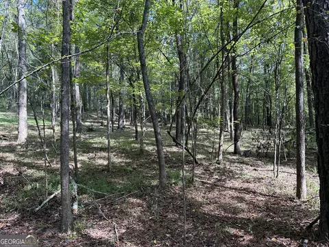 119 Hough Johnson Rd, Haddock, GA 31033 photo 35