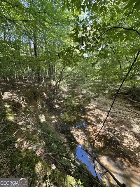 119 Hough Johnson Rd, Haddock, GA 31033 photo 33