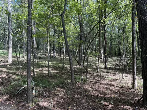 119 Hough Johnson Rd, Haddock, GA 31033 photo 38