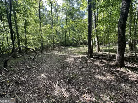 119 Hough Johnson Rd, Haddock, GA 31033 photo 30