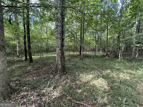 119 Hough Johnson Rd, Haddock, GA 31033 photo 16