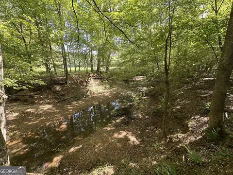 119 Hough Johnson Rd, Haddock, GA 31033 photo 29