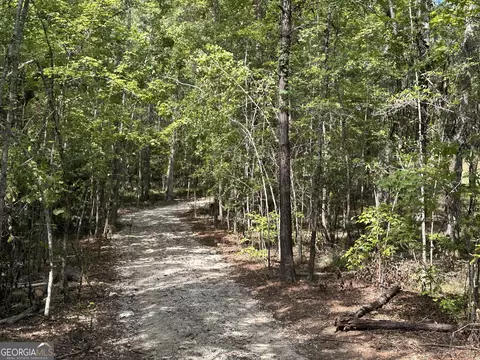 119 Hough Johnson Rd, Haddock, GA 31033 photo 2
