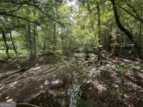 119 Hough Johnson Rd, Haddock, GA 31033 photo 21