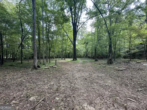 119 Hough Johnson Rd, Haddock, GA 31033 photo 20