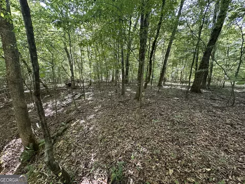 119 Hough Johnson Rd, Haddock, GA 31033 photo 32