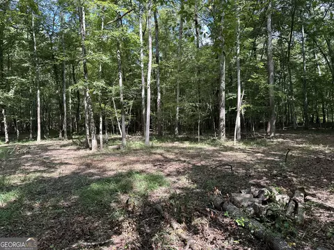 119 Hough Johnson Rd, Haddock, GA 31033 photo 27