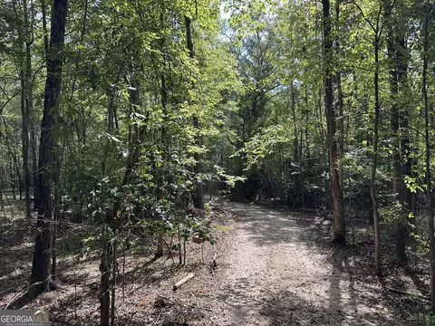 119 Hough Johnson Rd, Haddock, GA 31033 photo 37