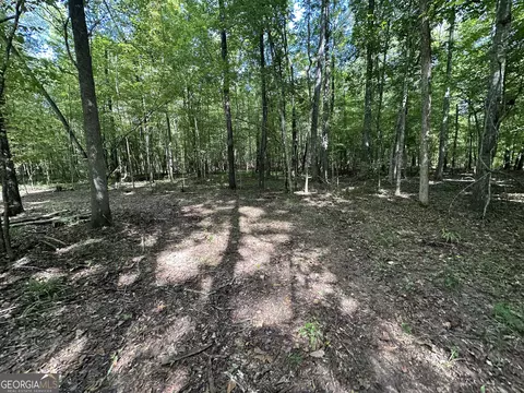 119 Hough Johnson Rd, Haddock, GA 31033 photo 28