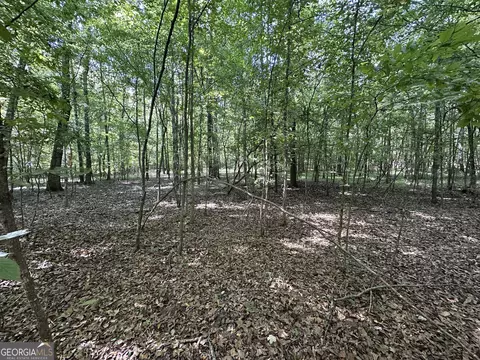 119 Hough Johnson Rd, Haddock, GA 31033 photo 11