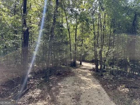 119 Hough Johnson Rd, Haddock, GA 31033 photo 12