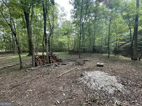 119 Hough Johnson Rd, Haddock, GA 31033 photo 7