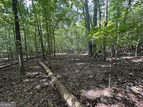 119 Hough Johnson Rd, Haddock, GA 31033 photo 34