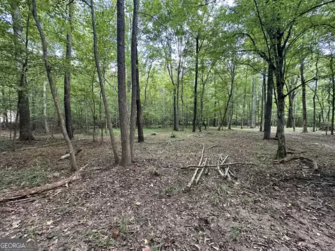 119 Hough Johnson Rd, Haddock, GA 31033 photo 18