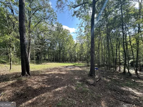 119 Hough Johnson Rd, Haddock, GA 31033 photo 5