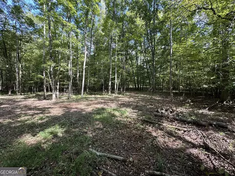 119 Hough Johnson Rd, Haddock, GA 31033 photo 22