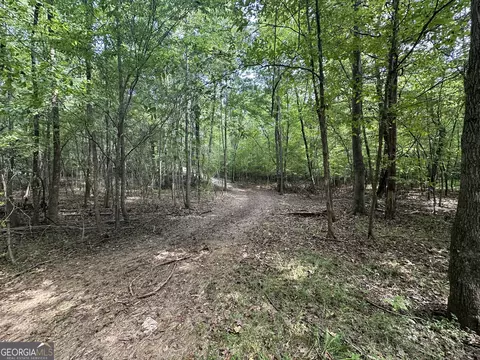 119 Hough Johnson Rd, Haddock, GA 31033 photo 15