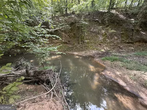 119 Hough Johnson Rd, Haddock, GA 31033 photo 4