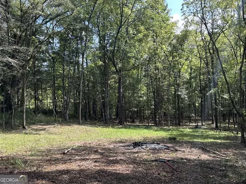 119 Hough Johnson Rd, Haddock, GA 31033 photo 31
