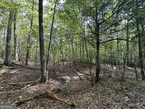 119 Hough Johnson Rd, Haddock, GA 31033 photo 13