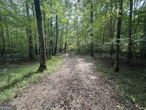 119 Hough Johnson Rd, Haddock, GA 31033 photo 17
