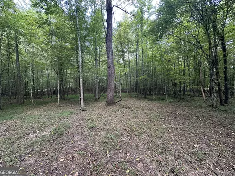 119 Hough Johnson Rd, Haddock, GA 31033 photo 8