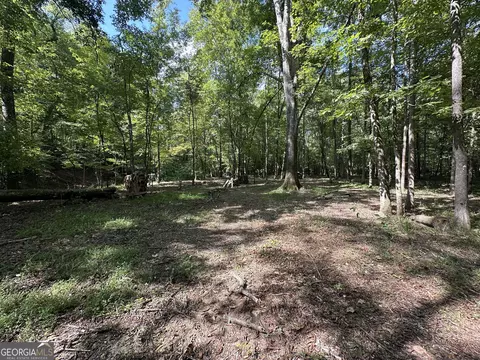 119 Hough Johnson Rd, Haddock, GA 31033 photo 6
