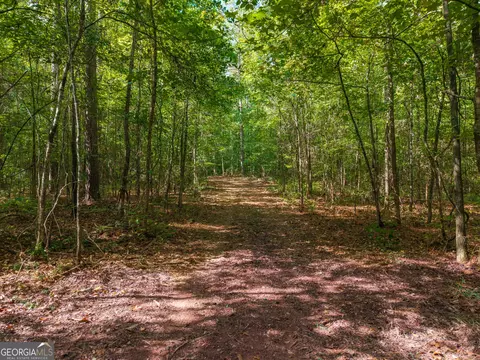 0 River Walk, Forsyth, GA 31029 photo 9