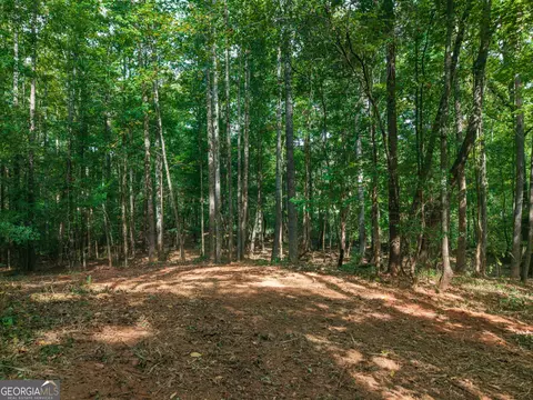 0 River Walk, Forsyth, GA 31029 photo 8