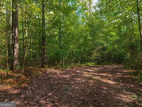 0 River Walk, Forsyth, GA 31029 photo 10