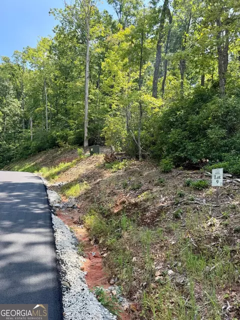 lot9 Sapphire Rdg, Blue Ridge, GA 30513
