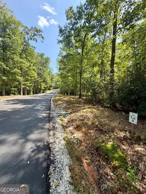 lot11 Sapphire Rdg, Blue Ridge, GA 30513