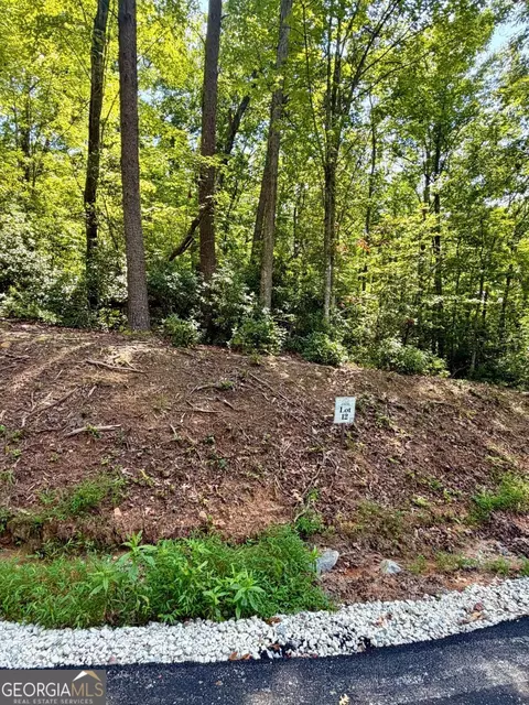 lot12 Sapphire Rdg, Blue Ridge, GA 30513