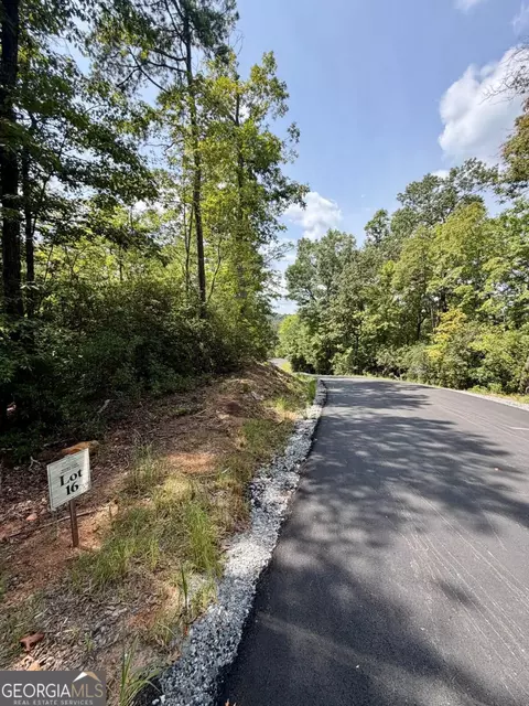lot16 Turquoise Rdg, Blue Ridge, GA 30513