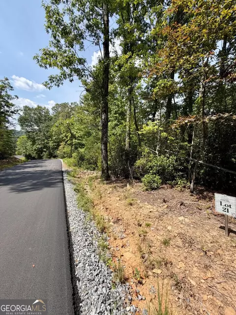 lot21 Turquoise Rdg, Blue Ridge, GA 30513
