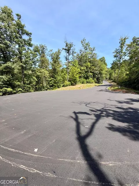 lot17 Turquoise Rdg, Blue Ridge, GA 30513