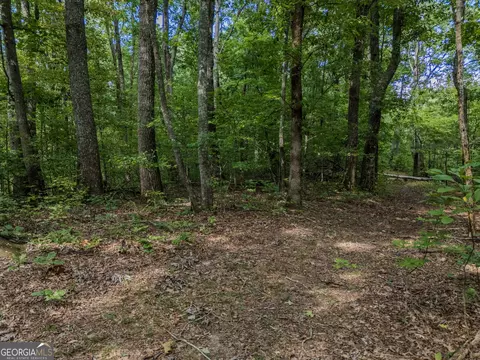 0 Clearview Dr, Talking Rock, GA 30175 photo 5