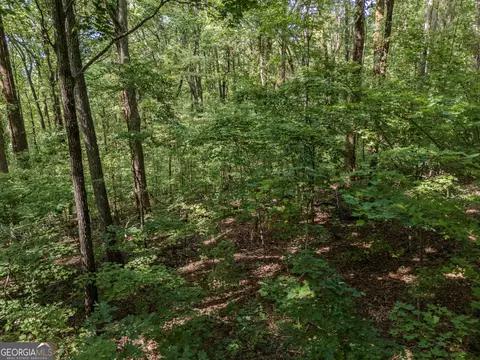 0 Clearview Dr, Talking Rock, GA 30175 photo 9
