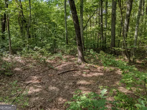 0 Clearview Dr, Talking Rock, GA 30175 photo 3