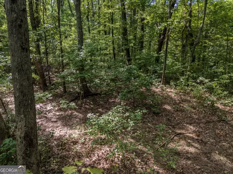 0 Clearview Dr, Talking Rock, GA 30175 photo 4