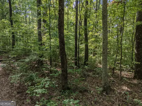 0 Clearview Dr, Talking Rock, GA 30175 photo 8