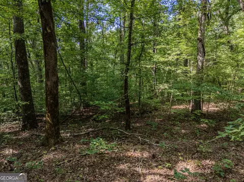 0 Clearview Dr, Talking Rock, GA 30175 photo 7