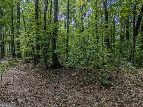 0 Clearview Dr, Talking Rock, GA 30175 photo 6